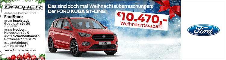 Werbebanner Weihnachten Botschaft und Grüße